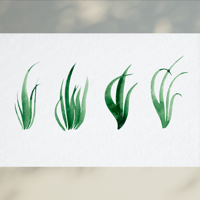 Watercolor Mushrooms Clipart3.jpg