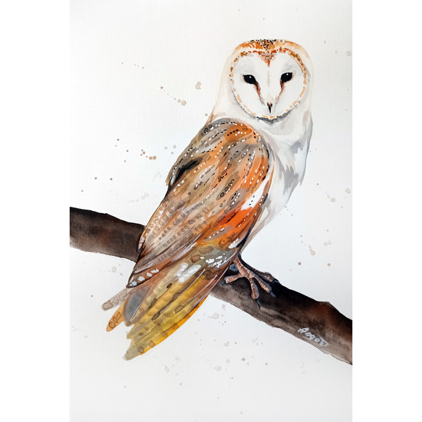 original watercolor owl painting by Anne Gorywine