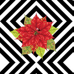 Decorative Christmas red poinsettia on black striped background