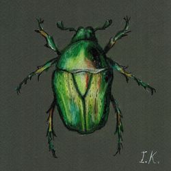 Green bug, Original colored pencil drawing 6x6''
