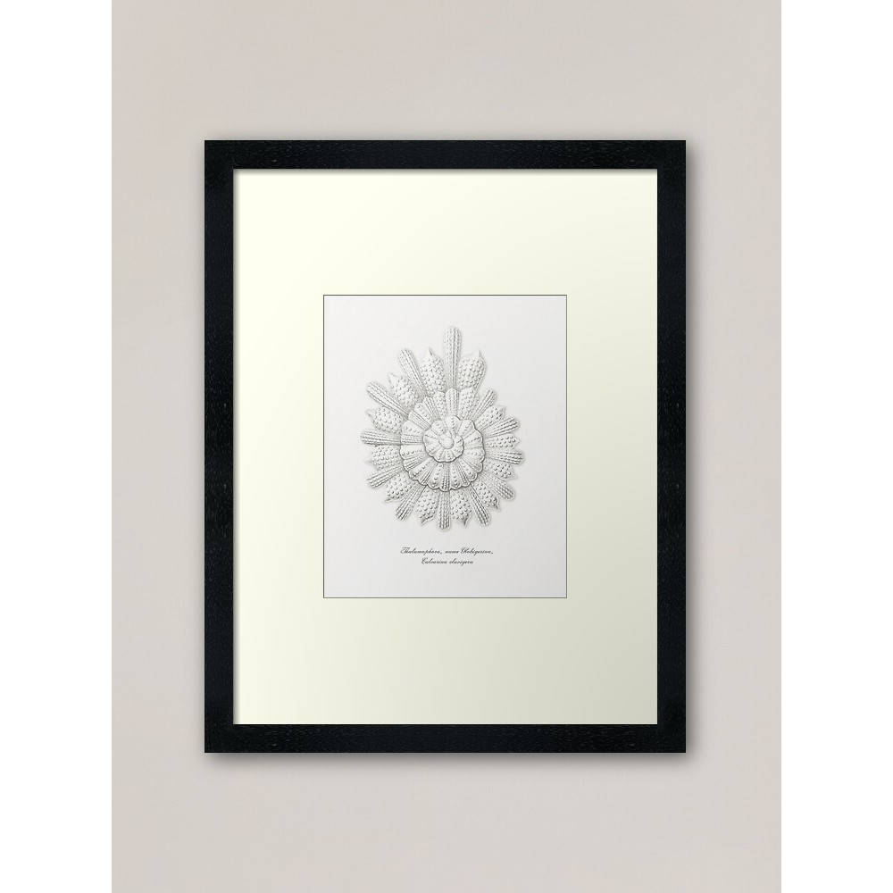 work-100430240-framed-art-print.jpg