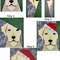 Labrador Christmas.jpg