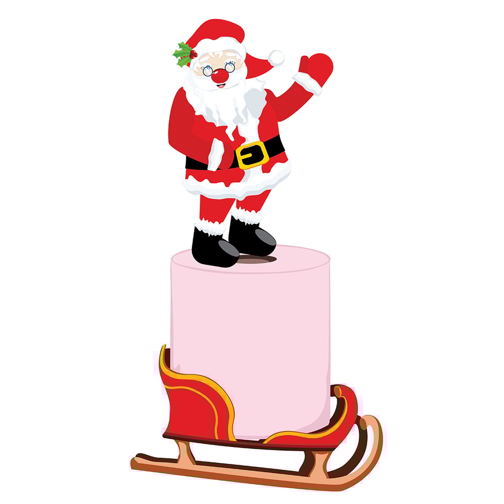 Santa and pink toilet paper2.jpg