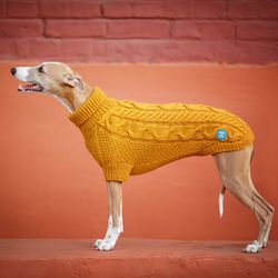 Soft sweater for whippet. Back length 55cm. Warm knitted clothes for a dog.