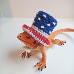 Independence dayhat for small pet, 4th July hat for bearded dragon, rat, hamster