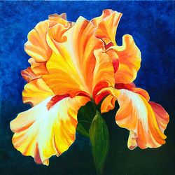 Iris Oil Painting Yellow Flower Original Art 12 by 12 by AniDoArt