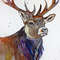 watercolor elk deer painting by Anne Gorywine
