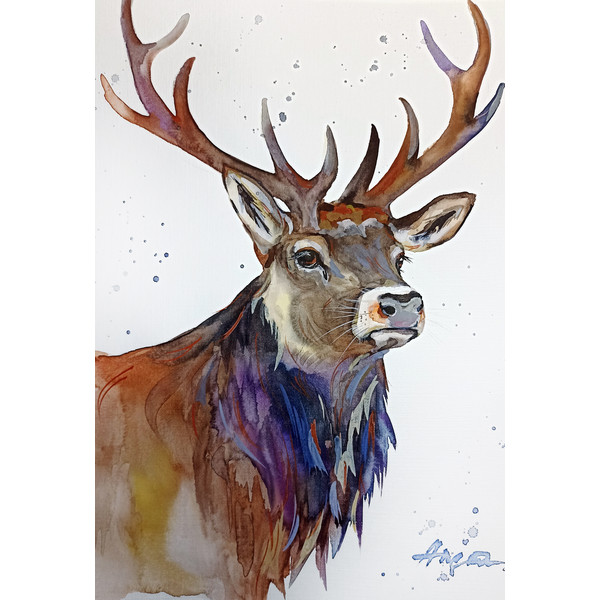 watercolor elk deer painting by Anne Gorywine