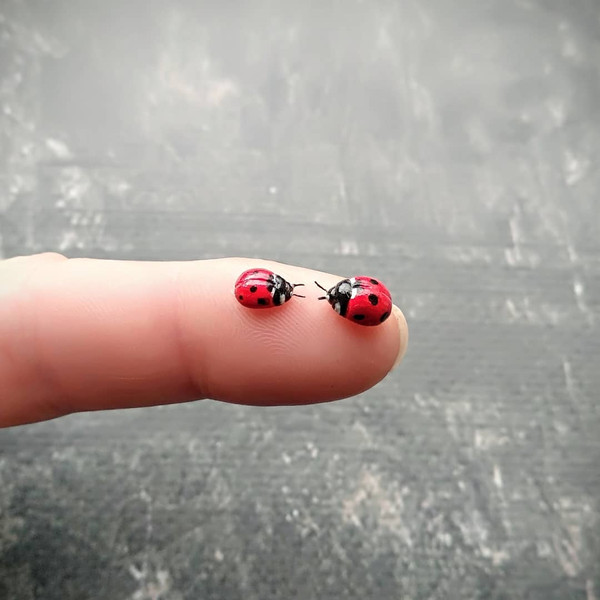 little-ladybugs-polymer-clay.jpg