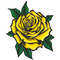 yellow roses4.jpg