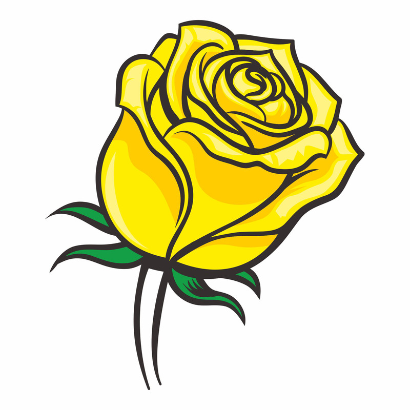 yellow roses8.jpg