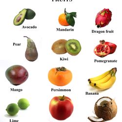instructional poster - different fruits isolated on white background