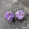 lucky-lilac-flower.jpg
