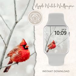 Apple Watch Wallpaper | Christmas Winter Beautiful Bird Apple Watch Face |  Smart Watch Background