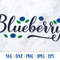 Blueberry003---Mockup1.jpg