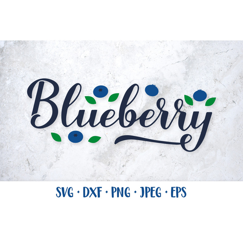 Blueberry003---Mockup1.jpg