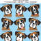 Boxer dog.jpg