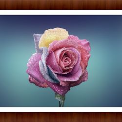 Beautiful Flower Art Print Digitally Printed & Framed Under Wooden Frame 40X30 Cm