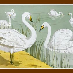 Beautiful Swan Scenery Framed Art Print Ready To Hang Home Decor 40X30 Cm Framed Under Glass Wooden Frame