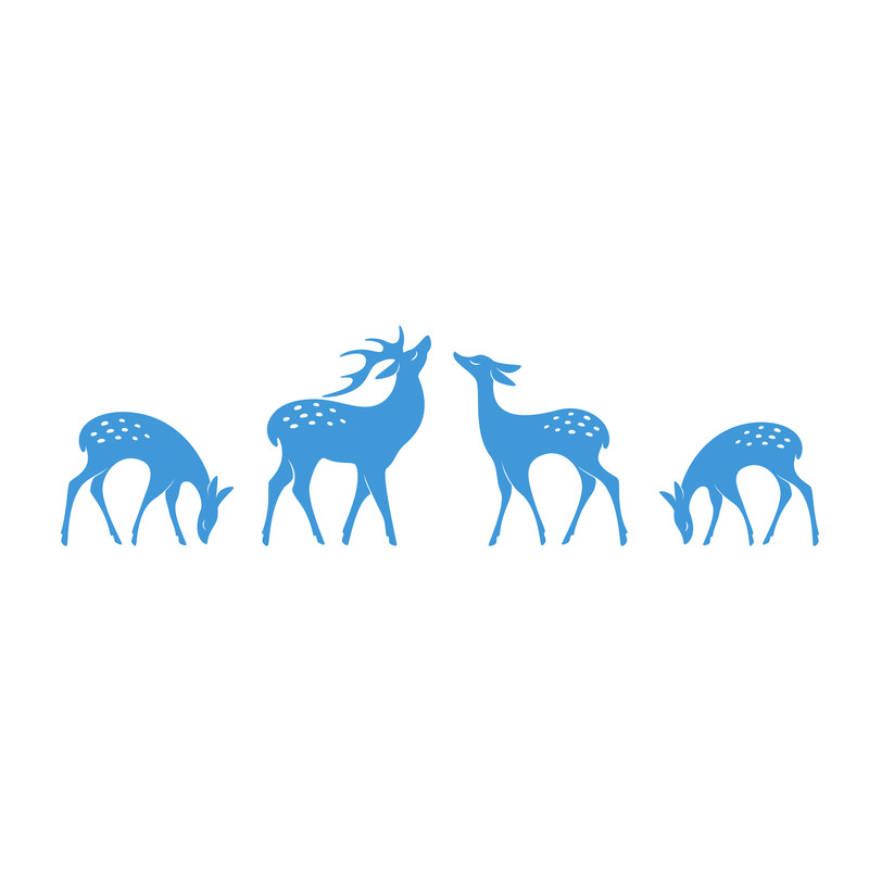 deer 01.jpg