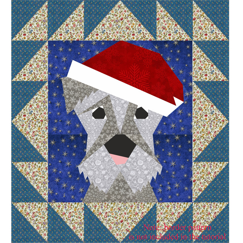 Miniature schnauzer.jpg