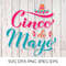 CincoDeMayo030--Mockup1.jpg