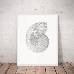 vintage sea shell print, seashell wall art, sea shell poster, printable wall art. a4, 5x7, 8x10, 16x20 digital download
