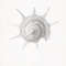 Haeckel-Prosobranchia-sea-shell.jpg