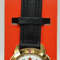 Vostok-Komandirskie-Gold-mechanical-watch-Combined-Arms-439823-3
