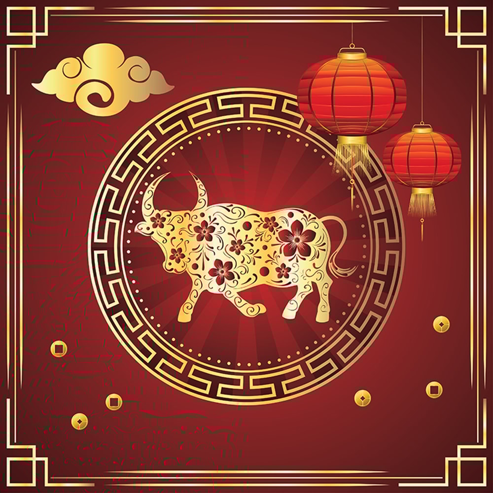 Card with bull and flowers3.jpg