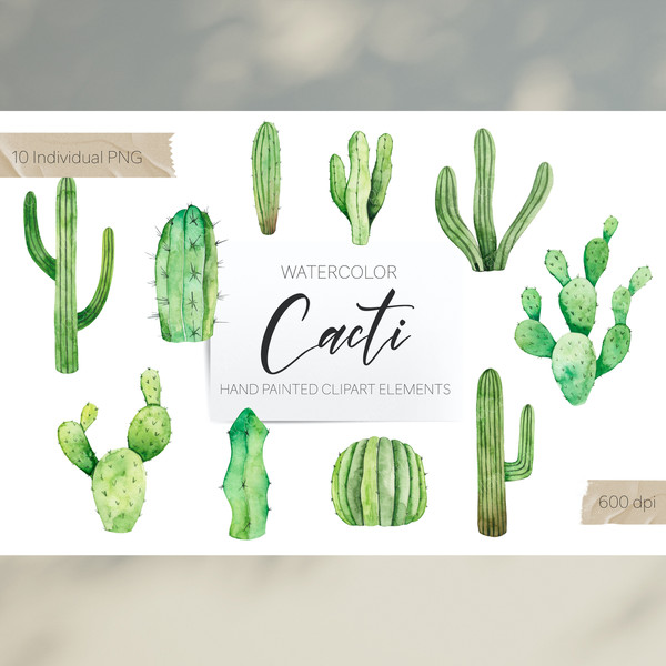 Watercolor Cacti 4.jpg