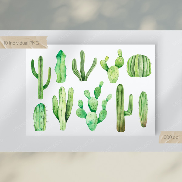 Watercolor Cacti 3.jpg