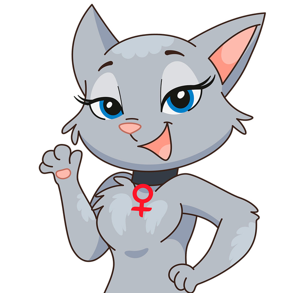 cat 011.jpg