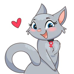 cat png clipar