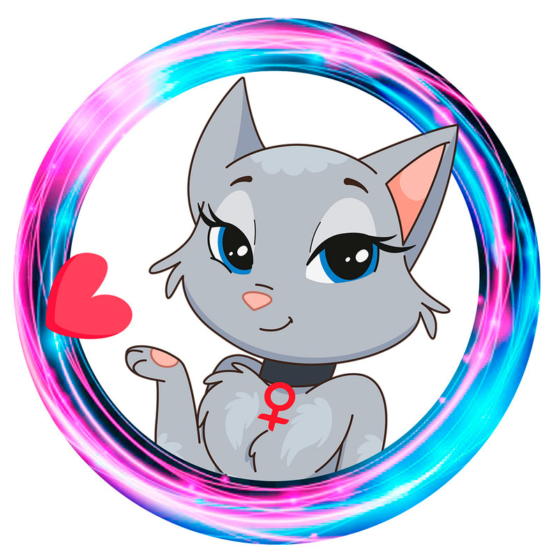 cat 020.jpg