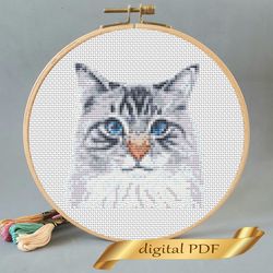 cat pattern pdf cross stitch, pets embroidery diy
