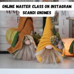 Online Master Class on Instagram SCANDI GNOMES