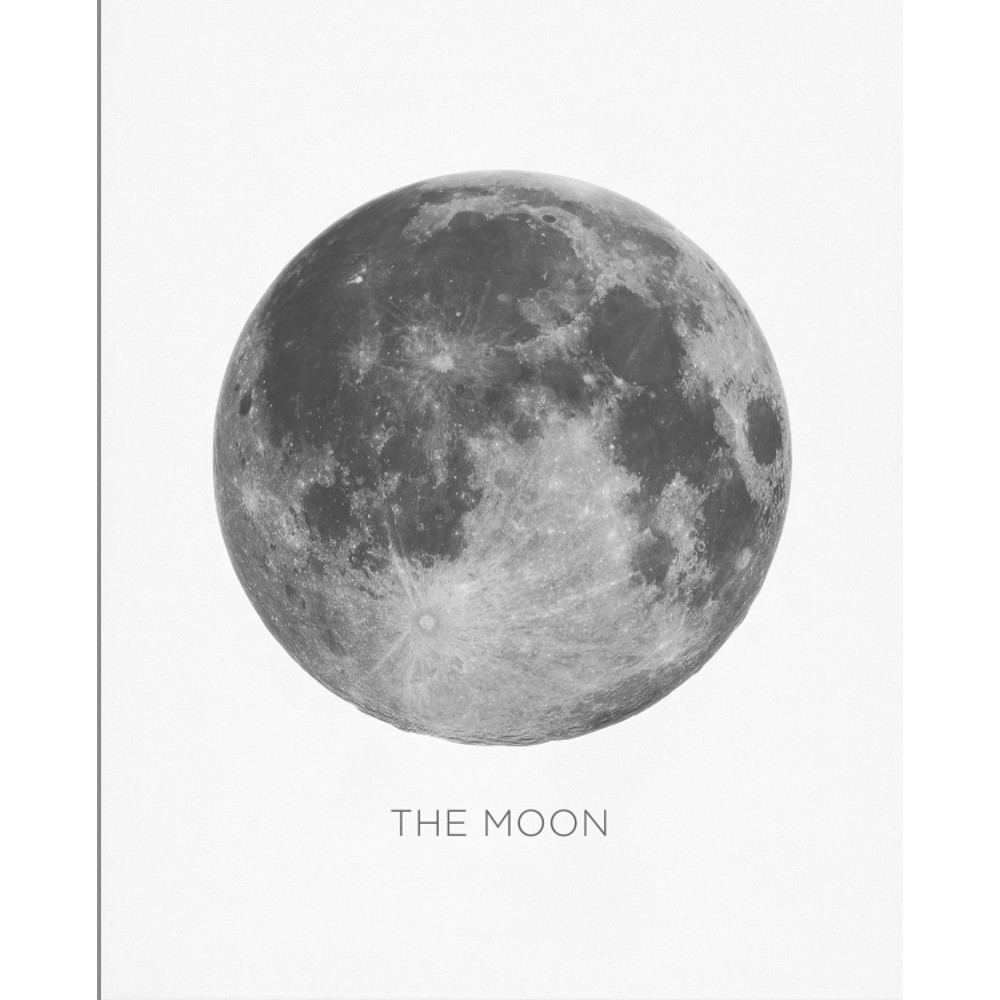 full moon preview.jpg