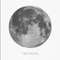 full moon preview.jpg
