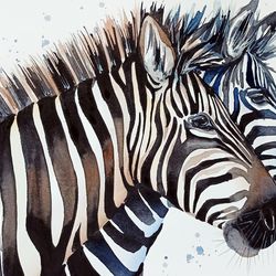 Original watercolor painting  7x10 inches 2 zebra animal horse art by Anne Gorywine