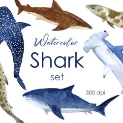 Watercolor clipart. Baby shark clipart. Shark Watercolor PNG.  Fish clipart animals. Poster, scrapbooking, stickers png