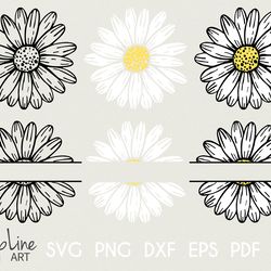 Daisy Flower bundle svg Simple Flower PNG clipart