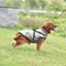 dogjacketharnesssilvergray (1).png