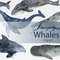 Watercolor whale .jpg