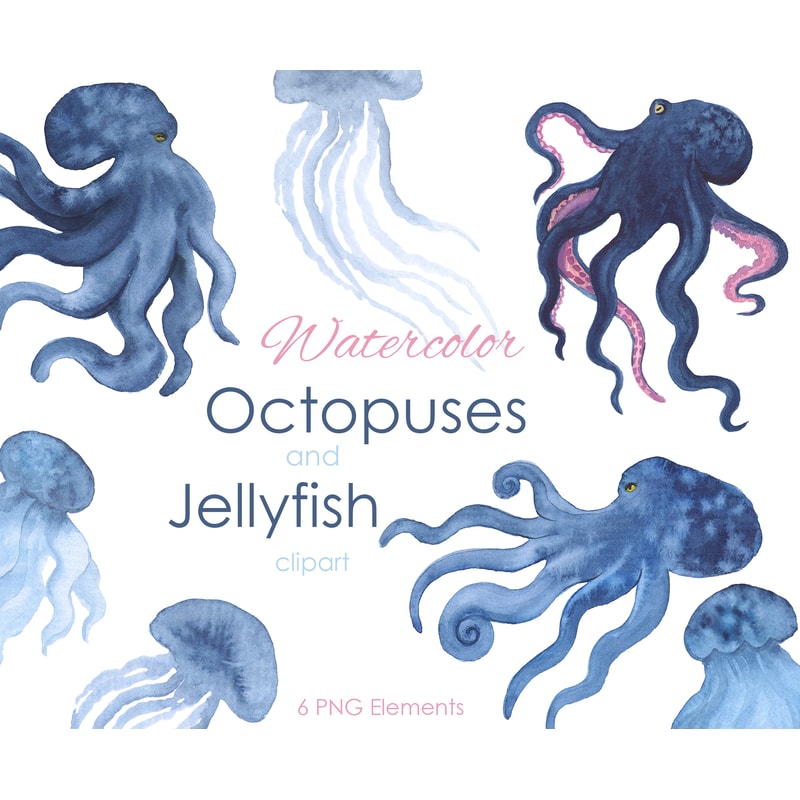 Watercolor octopus .jpg