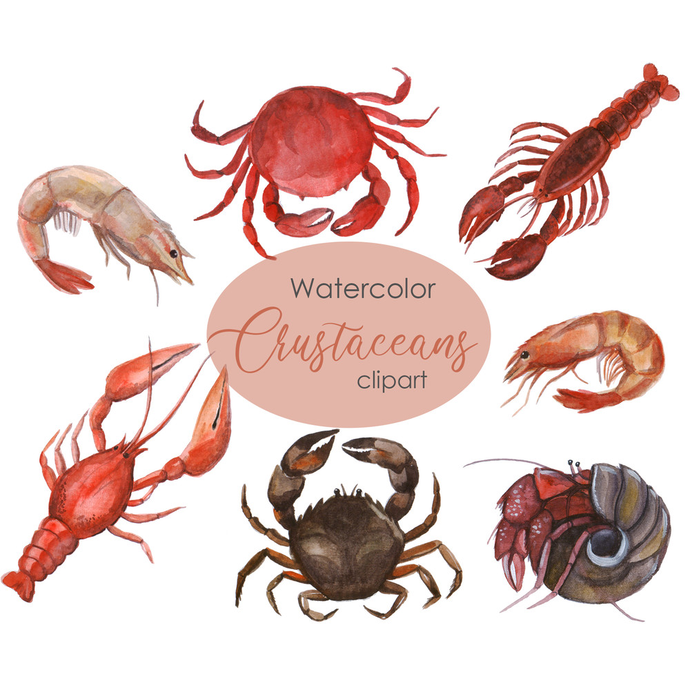 Watercolor bar menu .jpg