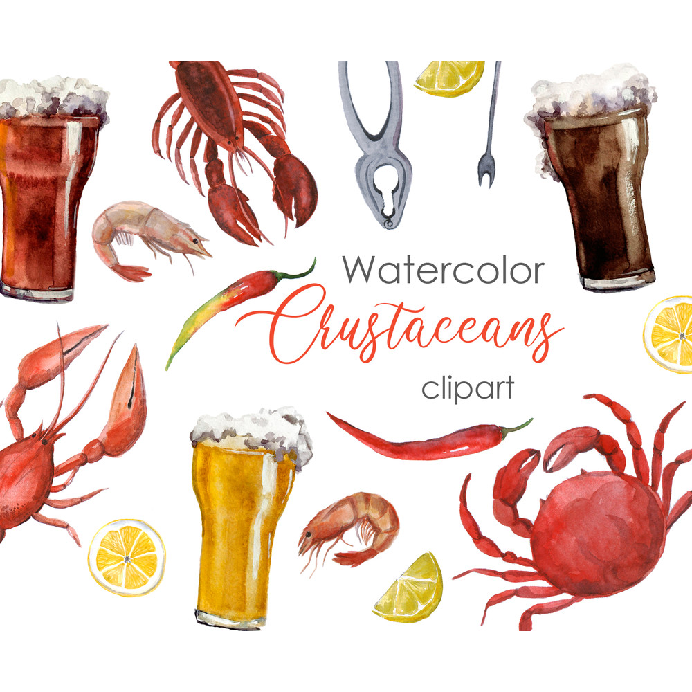 Watercolor bar menu .jpg