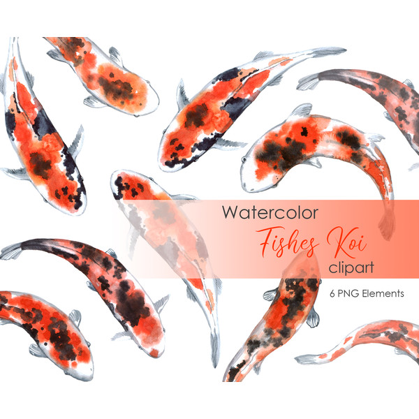 Watercolor koi fish .jpg