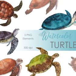 Watercolor Sea Turtles postcard. Watercolor ocean animals. Watercolor Turtle Clip art. Baby showers, nursery decor png