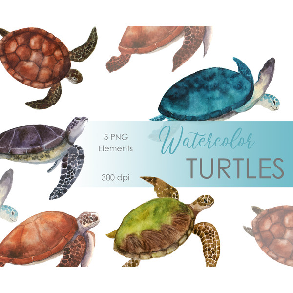 Watercolor turtle print.jpg